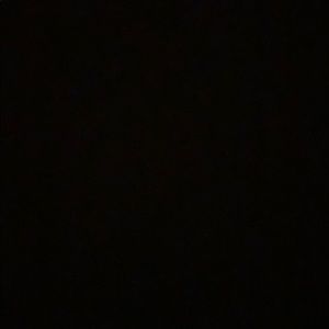 Meet your Posher, Chaz